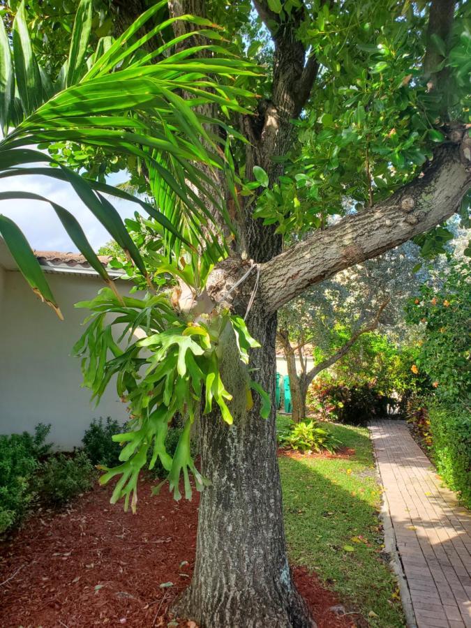 Ocean Side Resort - Updated Villa Hillsboro Beach Extérieur photo